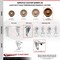 Service Caster 6 Inch High Temp Phenolic Swivel Bolt Hole Caster Set with Total Lock Brake SCC SCC-BHTTL20S615-PHSHT-4 - alternate 4